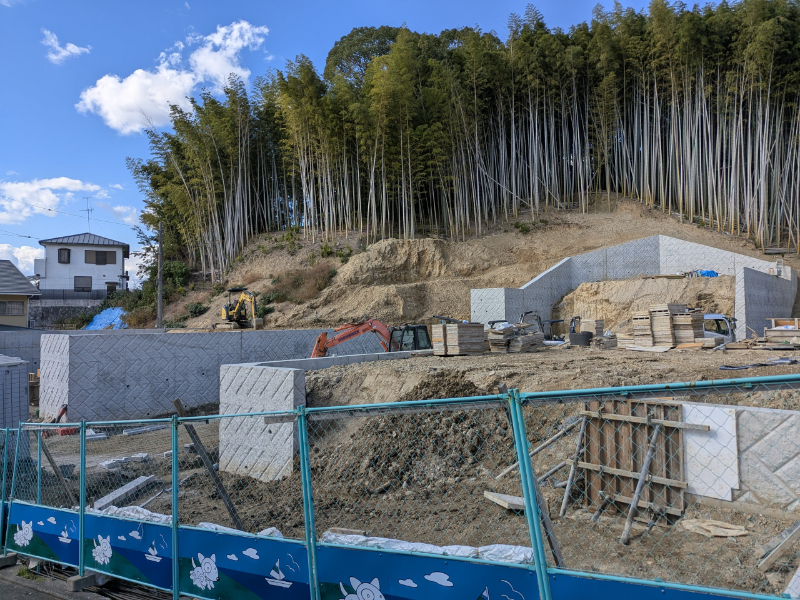 レッドゾーンの土地